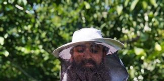 Вінницький медобар приборкав бджіл, і тепер створює унікальні медово-ягідні пасти