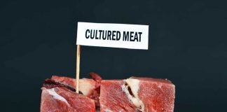 Китайський уряд інвестує у розробку альтернативного м’яса на фоні чуми свиней