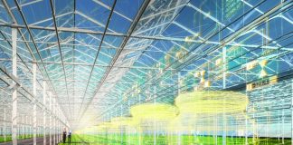 Інновації в харчовій промисловості: здобутки та перспективи майбутнього