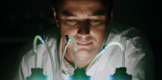 Голландці зібрали 1,2 млн євро на виробництво риб’ячого жиру без риби