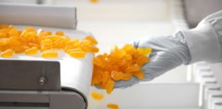 Ізраїльський виробник інвестував мільйони у виробництво жуйок з пребіотиками із фруктів та овочів