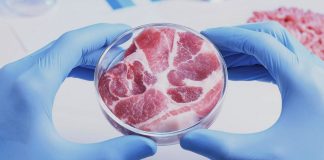 Що таке альтернативний білок? Історія його дослідження, стартапи і технології