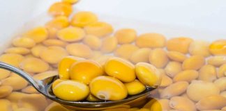 Німці розробили низькокалорійні яйця з люпину, що імітують структуру курячих