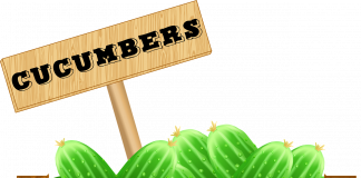 Їстівне покриття вберігає від смітника на 40% більше огірків