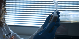 В Іспанії створили упаковку із сироватки. Вона подовжить термін зберігання сиру на 50%