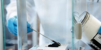 Із чайного гриба створили нановолокно, яке замінить шкіру та пластик