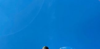 Макуха, смородина та агрус — на Дніпропетровщині створюють екологічне вино