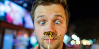 Стравою 2023 року стануть хліб та макарони зі знежирених домашніх цвіркунів