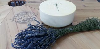 У колишньому військовому бункері українці варять сири з синім чаєм та лавандою