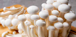 Невидиме випромінювання та гриби: вчені створили вітаміни для веганів