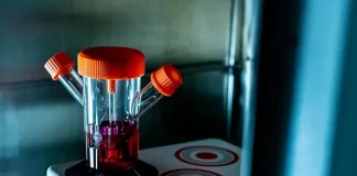 Від учора набори клітин різних тварин для вирощування м’яса можуть купити невеликі стартапи