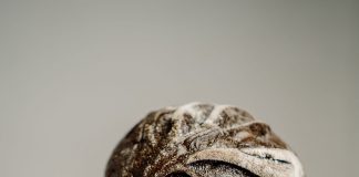 Чорнила каракатиці та закваска – українці печуть хліб, що ніколи не пліснявіє