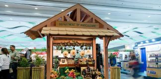 Українські виробники їжі можуть отримати до 3,3 млн грн на просування за кордоном