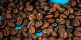 Перша у світі кава з адаптогенними грибами підтримує здоров’я мозку