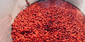 Після окупації українці створили експериментальний кизиловий соус до сиру та кизилове вино