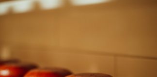 Львівська ферма створює із молока буйволів вишуканий сир без лактози