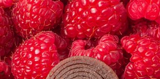 Виробник корисних солодощів Bob Snail запускає нові продукти попри війну