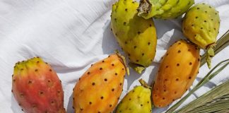 Їжа з кактусів лікуватиме запалення та боротиметься з ожирінням — дослідження