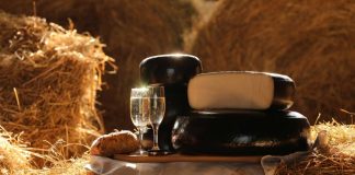 На найбільший конкурс у світі Україна повезе витримані сири з кавою та трюфелем