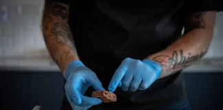 Перший в Африці стартап з культивування мяса нарощує масштаби