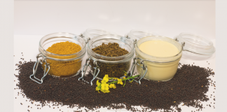 Технологи розклали ріпак на складові для інноваційного м’яса. Раніше це були відходи