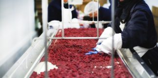 На створення переробного підприємства можна отримати від уряду 8 млн грн