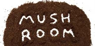 Стартап створив каву із “хвоста індички” та ще шести унікальних грибів