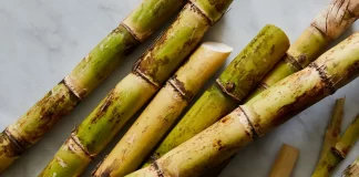 Стартап додав відходи цукрової тростини у хліб, щоб покращити тісто