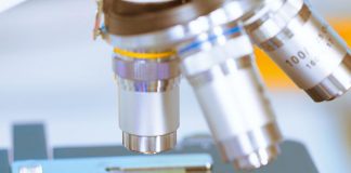 У лабораторії виростили найрідкіснішу ікру по $1000 за кг