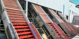 В Україні роздадуть 2 млн євро грантів на бізнес з виробництва харчів