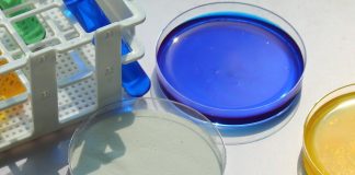 Стартап створив напої зі спіруліни, що сприяють бадьорості та виводять токсини