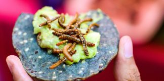 Європейські вчені знайшли дієвий спосіб привчити людей їсти комах