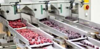 Уряд профінансує ветеранам до 1 млн грн на сировину та обладнання