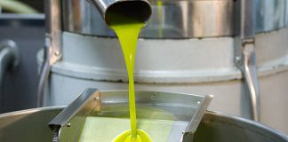 Із відходів виробництва оливкової олії створюють здорові снеки та напої