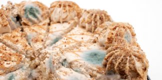 Інноваційний, але натуральний інгредієнт пригнічує ріст цвілі у хлібі та тортах