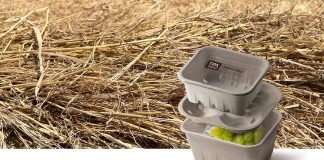 Солому із рисових плантацій перетворили на міцну упаковку для гарячої їжі