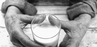 Нідерландська компанія створила інноваційне молоко для здорового старіння