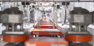 Нагетси з міцелію покращують здоров’я серця, містять клітковину і білок