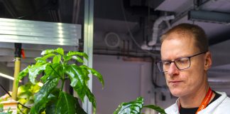 Каву в біореакторі можна виростити за місяць: смак та запах не відрізняється