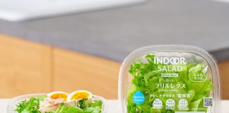 Штучний інтелект подовжив термін зберігання свіжих салатів на третину