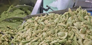 Порошок із авокадо замінює масло у випічці та покращує смак цукерок