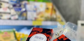 На Сумщині виготовлятимуть сири із грибами шиїтаке, які покращують пам’ять