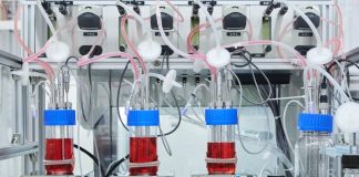 Компанія, яка вирощуватиме м’ясо качок у космосі, отримала $13 млн гранту