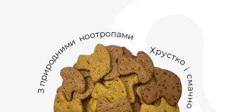 Українське печиво з рідкісними грибами активує мозок та полегшує депресію