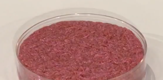 Стартап, який залучив третину мільярда, запускає вже другий завод лабораторного м’яса