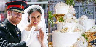 Стартап створив «пігулку» для імунітету із секретного інгредієнта королівського торта