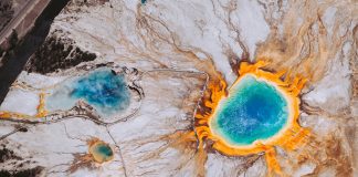 Рейтинг світових харчових стартапів 2024: «вулканічне» м’ясо, хліб з міцелію та какао з дріжджів