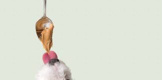 Рослинне м’ясо для собак — штучний інтелект створив принципово новий продукт