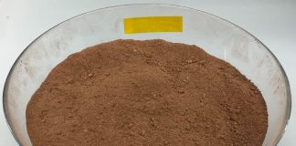 Великий банк та виробник шоколаду вклали мільйони у какао із пробірки