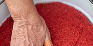 Український шеф-кухар створює унікальні спеції за давніми рецептами Півдня